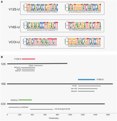 VertU: universal multilocus primer sets for eDNA metabarcoding of vertebrate diversity, evaluated by both artificial and natural cases